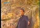 Bengin Cizîrî - DİLO