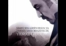 Ben Senin Beni Sevebilme İhtimalini Sevdim / Yılmaz Erdoğan