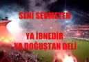 Beşiktaş'ım Seni Sevmeyen Ya İbnedir Ya Doğuştan Deli !