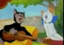 Beşiktaşlı kediden dişi kediye serenat :)