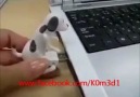 bilgisayara tecavüz eden usb(bilgiler çoğalıyor.d.d)