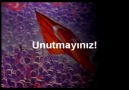 BİR MİLLET UYANIYOR..!!!