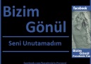 Bizim Gönül - Seni Unutamadım 2 [HQ]