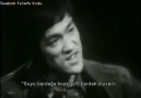 Bruce Lee Felsefesi