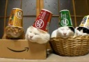 Bu Çinlilerin Kedileri Bile Tuhaf : )