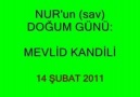 BU GECE MEVLİD KANDİLİ (Neler Yapılabilir )İZLE-PAYLAŞ