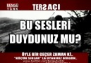 Bu Sesleri Duydunuz mu??