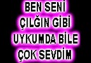 CANIMIN İÇİ