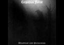 Carpathian Forest - Journey Through The Cold Moors Of Svarttjern