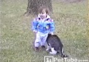 Cat Wrestles Baby - _KEDİ de Amma Besili Ya...
