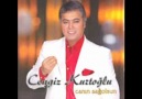 Cengiz KurtoğLu -- Gece oLunca