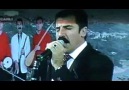 CENGİZ YURTSEVEN & Yandı ha yandı-Derdin ne senin