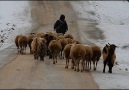 Cevdet Bağca  Sen Yağmur oL Ben Toprak [HQ]