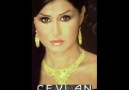 Ceylan - Etek Sarı