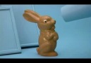 Çikolata Tavşan ve Zayıf Noktası :(