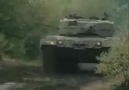 Çılgın Türkler  !