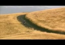 Cîwan Haco-Sira Sibê