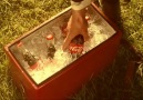 Coca-Cola Summer 2010 - TV Werbung [HQ]