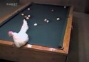 Daha da kimse ben bilardo biliyom demesin xD [HQ]