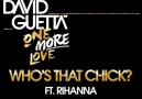 David Guetta - Who_s That Chick- (ft Rihanna)