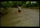 D.Channel  Ultimate Survival- Kosta Rika ░ 4 / 4 ░