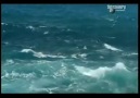 D.Channel  U. Survival- Pasifik Okyanusu ░ 1 / 4 ░