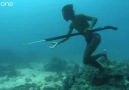 Deniz çingenelerinin inanılmaz av görüntüleri [HQ]