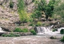 Dilbera Dersime    (Wengema Dersim) [HQ]