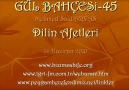 Dilin Afetleri [HQ]