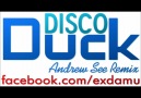 Disco Duck (Andrew See 2011 Hot Remix) [HD]