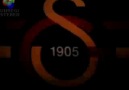 DİŞİ ASLANLARDAN SÜPER BESTE yıkıcaklarmış SAMİYEN'İ...