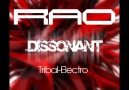 DJ Rao-Dissonant 2011 [HQ]