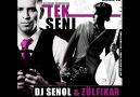 DJ SENOL ft. Zülfikar - Tek Seni (CLUB EDIT) [HQ]