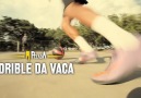 Drible Da Vaca [HQ]