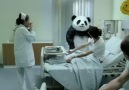 dünyadaki  en iyi Arap reklami secilen ''Never say no to Panda''