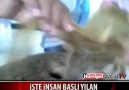 Dünya Şokkta!! İşte İnsan Başlı YILAN  18