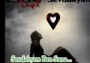 ~ ♥ ~ SeVDaLıyım ßen SaNa ~ ♥  ~