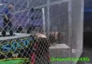 Edge Spear on Undertaker On Summerslam 2008