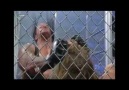 Edge vs Undertaker [ Summerslam ] [HQ]