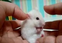 Ehe ehe =D  3
