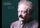 Einstein'ın Beyninin Sırrı 2/3