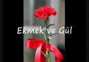 Ekmek ve Gül [HQ]