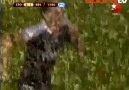 Emre Tilev Çoşuyor :)) Hilbertin Golü :))