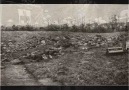 Eric Bogle - No Man's Land ( Green Fields of France )