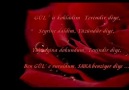 Erol Budan - Arkadasca Sevsen Raziyim Inan