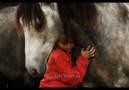 Ersin Baran - Ez Aşıke Tema Cane♥Senin aşığınım canı... [HQ]