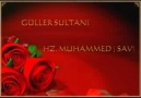 Eşref Ziya / Güllerin Sultanı