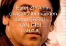 Esref Ziya Terzi // Kan Gibi ♫ PAYLASALIM ♫
