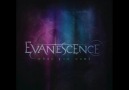 Evanescence - What You Want (FULL VERSION)