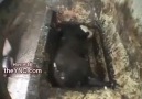 Face Siliyor,sadece 1 kez izleme şansın var hemen paylaşın...
